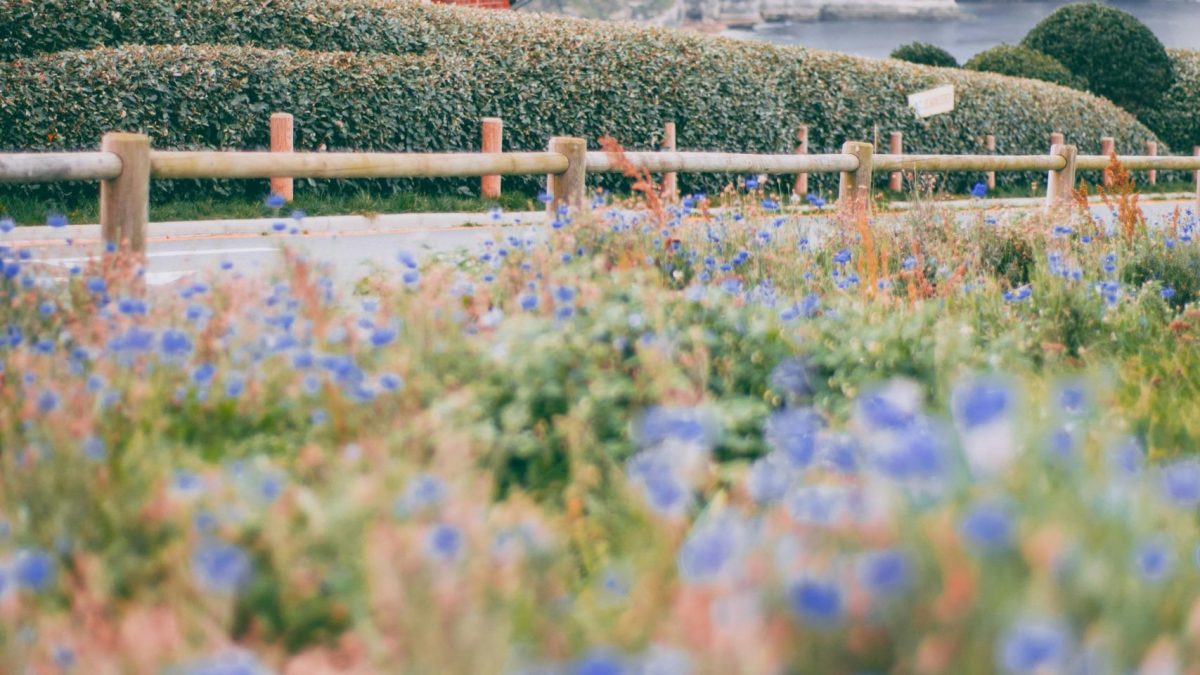 Nurturing Your Child’s Relationship with Nature