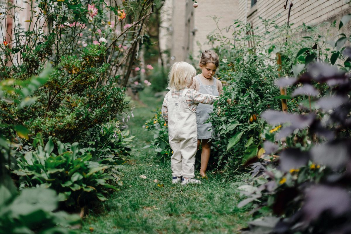 Engaging Children in Garden Care and Maintenance