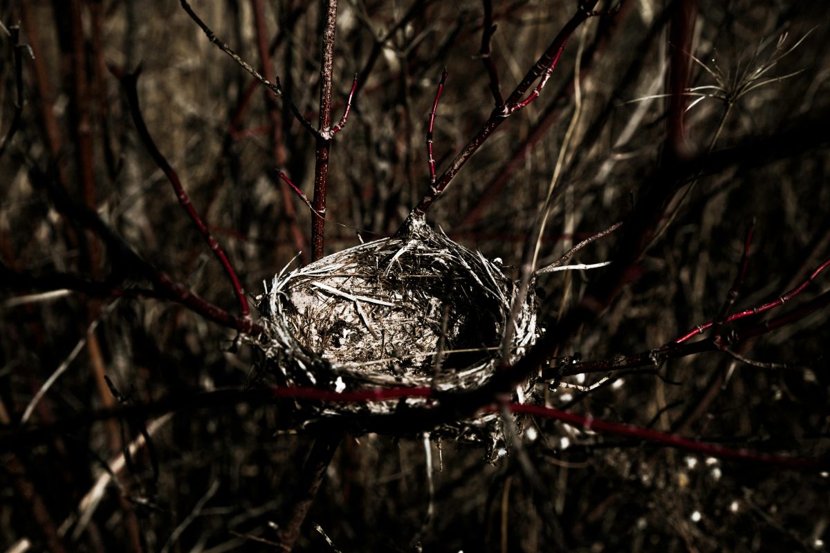 Understanding Empty Nest Syndrome