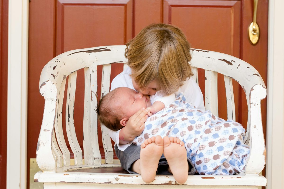 Family Dynamics: An Overview and the Welcome of a New Baby