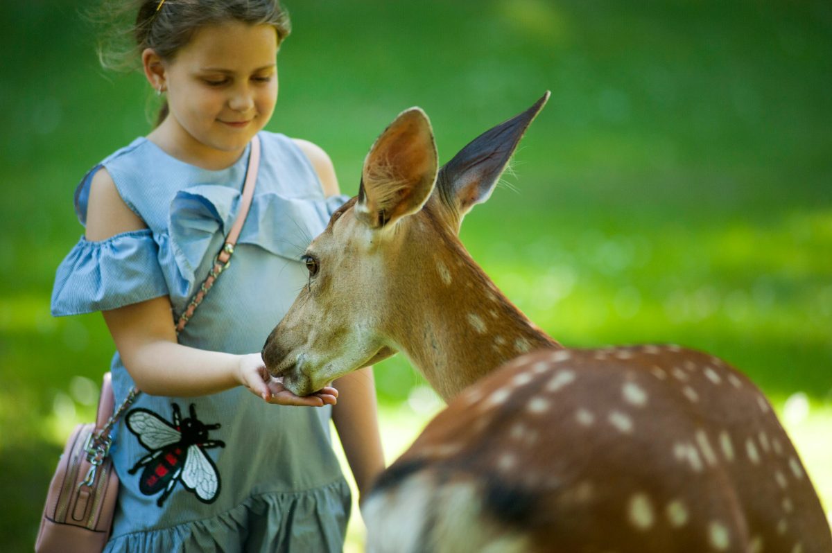Feeding Your Child's Intimacy with the Natural World