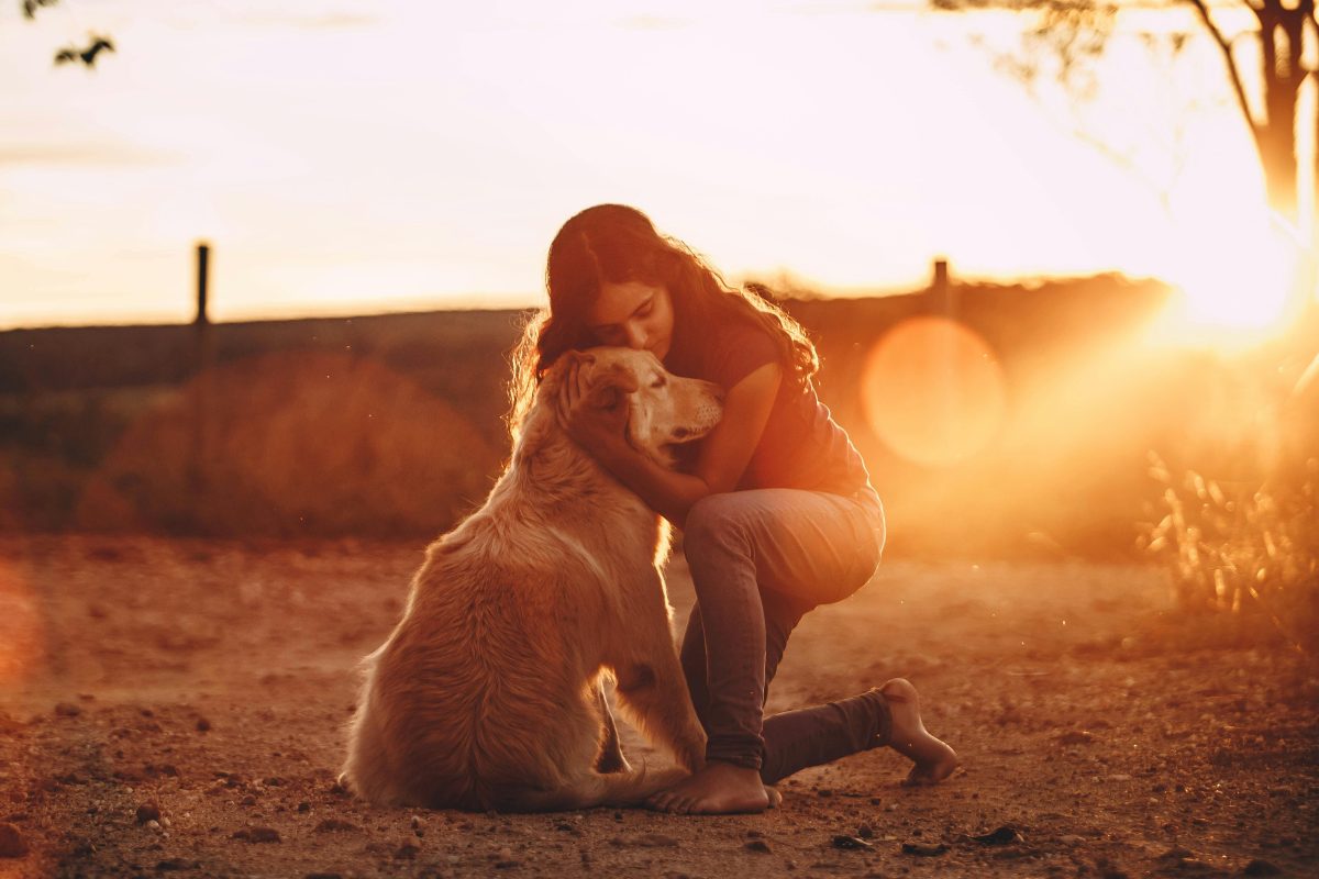 The Psychological and Emotional Advantages of Pet Ownership