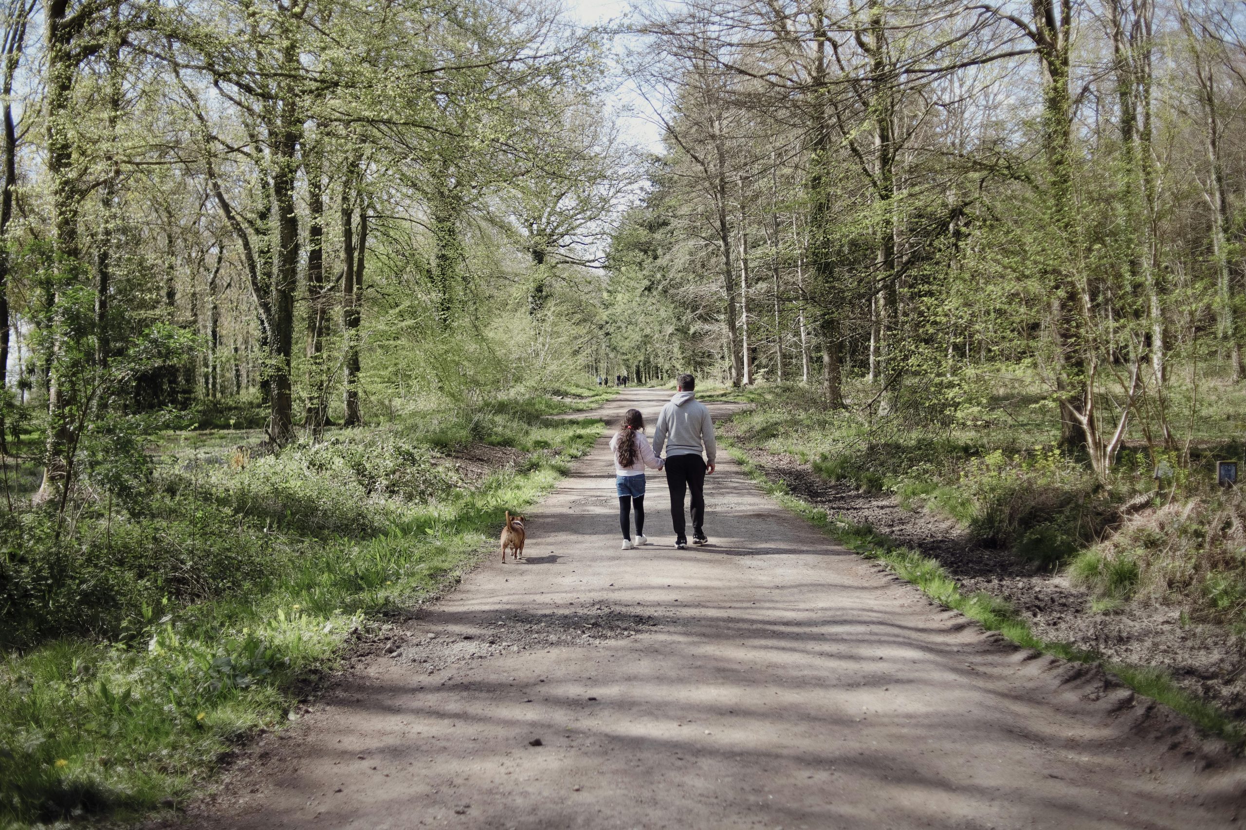 A Brief Overview of Father-Daughter Bonds