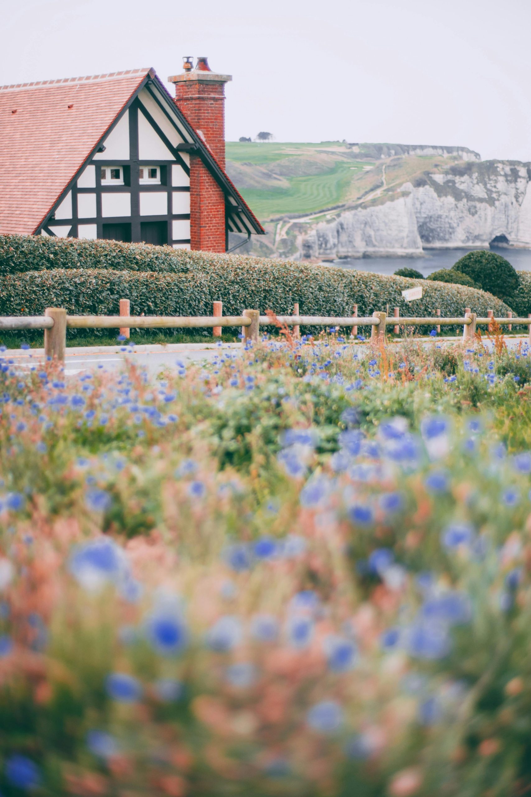 Building a Home Environment That Is Friendly to Nature