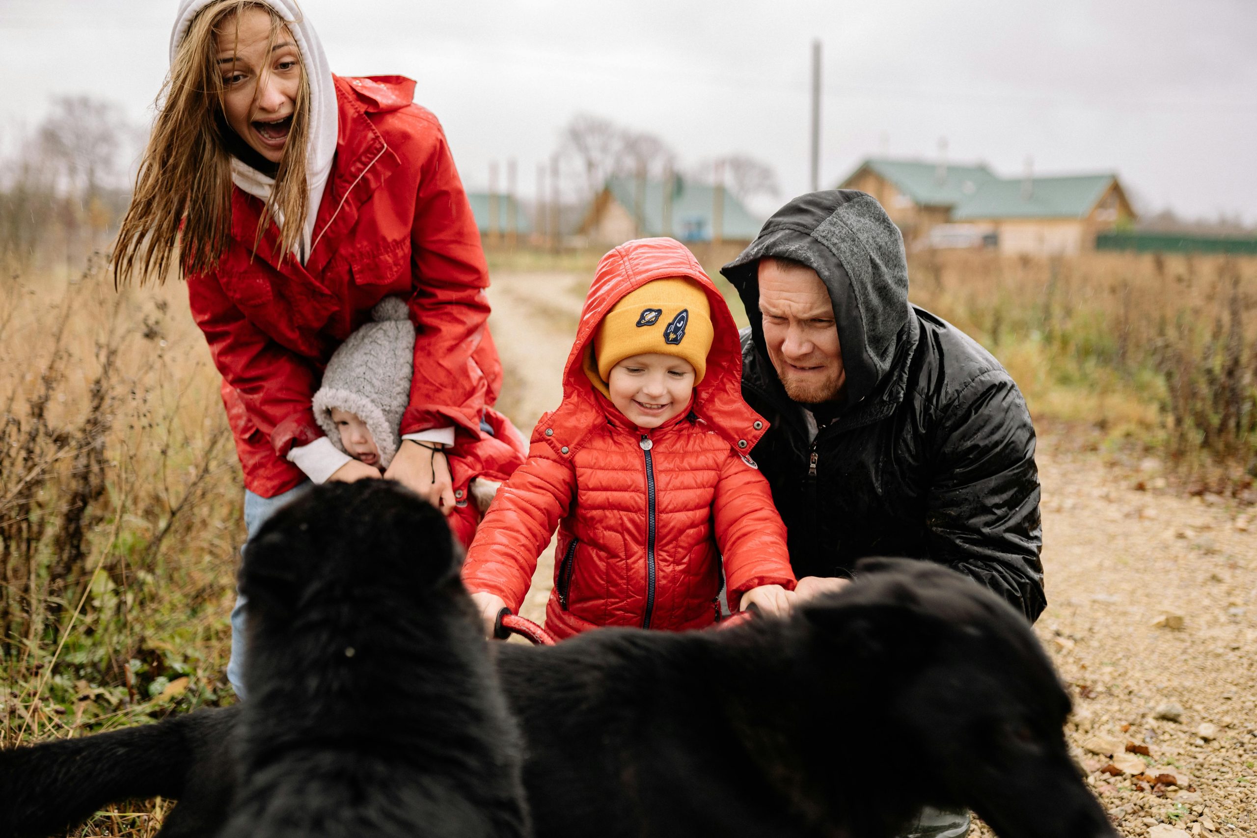 Emotional and Psychological Benefits of Family Pets on Child Development