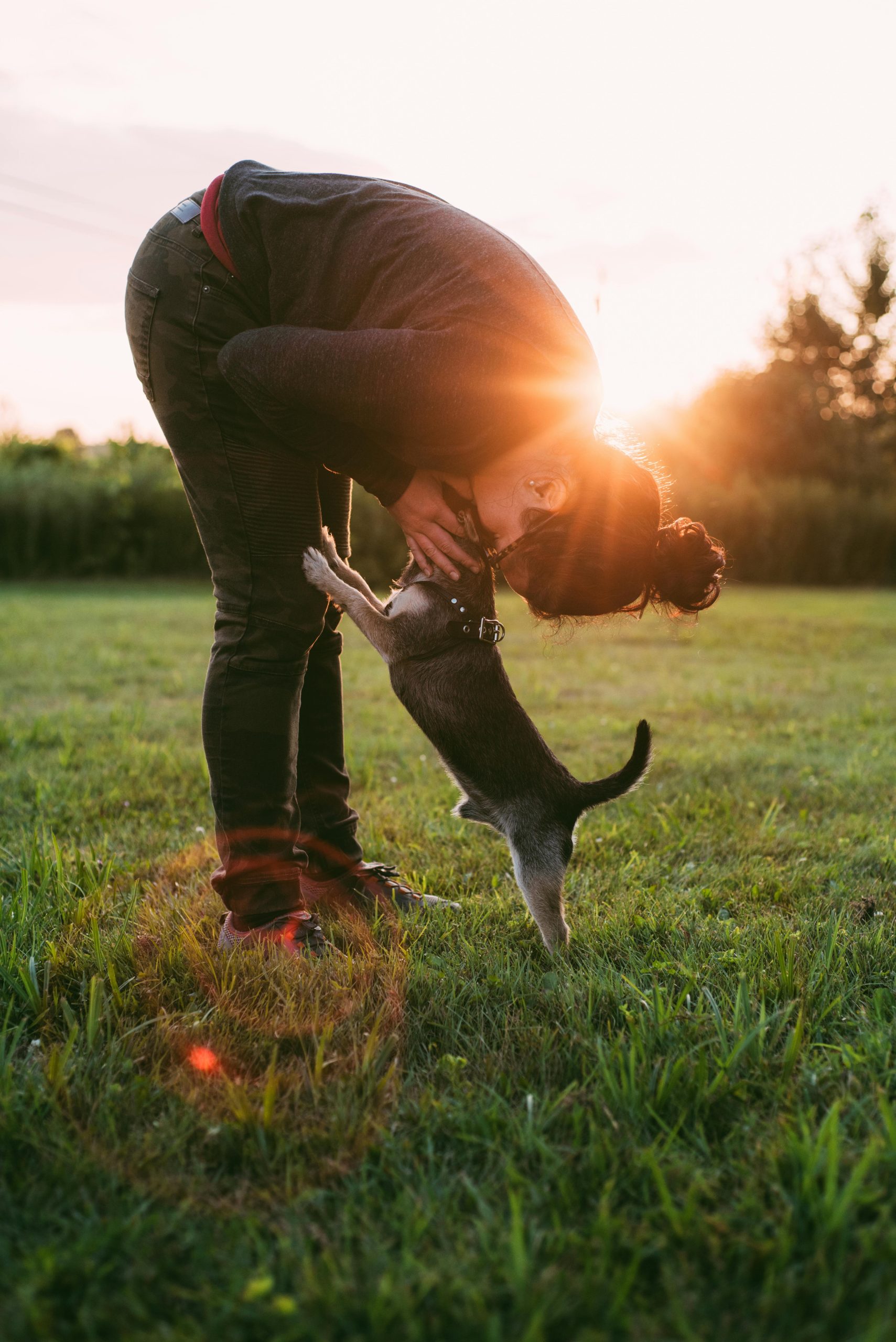 The Psychological and Emotional Advantages of Pet Ownership