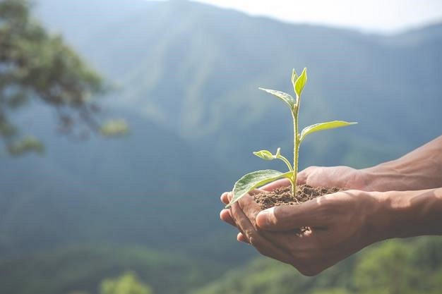 Teaching Children About Environmental Conservation In Conclusion