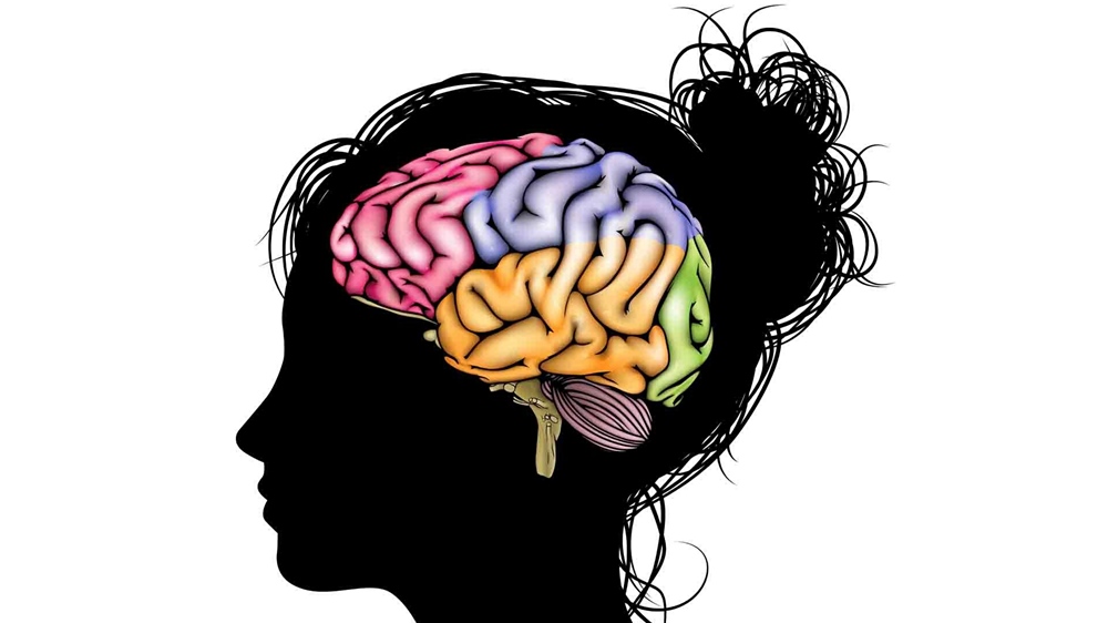 Understanding the Teenage Brain Encouraging Adolescent Brain Development